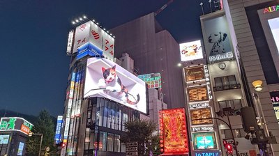 🏙️ 신주쿠 동쪽 출구의 고양이 (신주쿠 히가시구치노 네코) 이미지 2